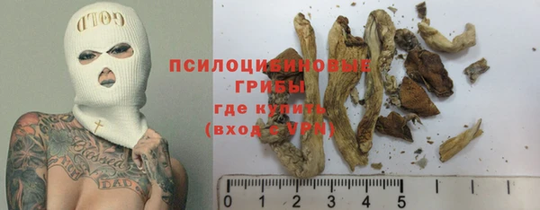 ГАЛЛЮЦИНОГЕННЫЕ ГРИБЫ Горняк