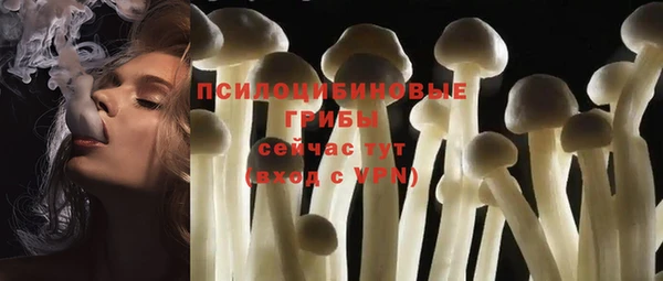 ГАЛЛЮЦИНОГЕННЫЕ ГРИБЫ Горняк