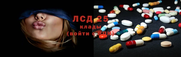 ГАЛЛЮЦИНОГЕННЫЕ ГРИБЫ Горняк
