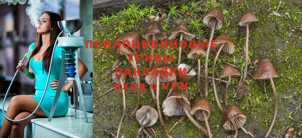 ГАЛЛЮЦИНОГЕННЫЕ ГРИБЫ Горняк