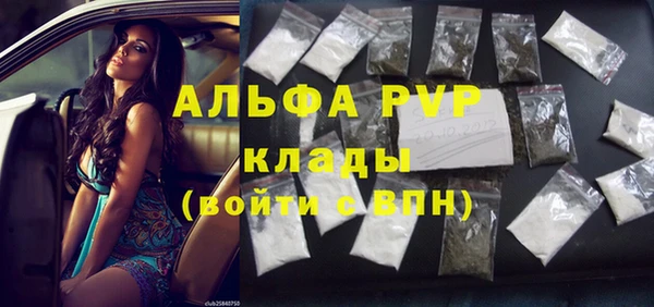 ГАЛЛЮЦИНОГЕННЫЕ ГРИБЫ Горняк