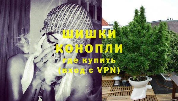 ГАЛЛЮЦИНОГЕННЫЕ ГРИБЫ Горняк