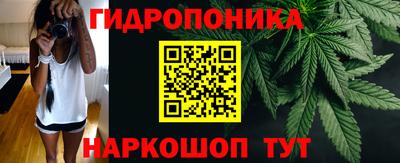 соль ск Гатчина