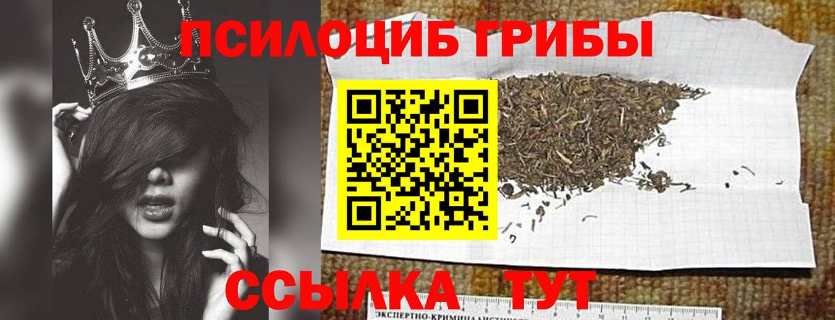 Псилоцибиновые грибы Psilocybe Обнинск